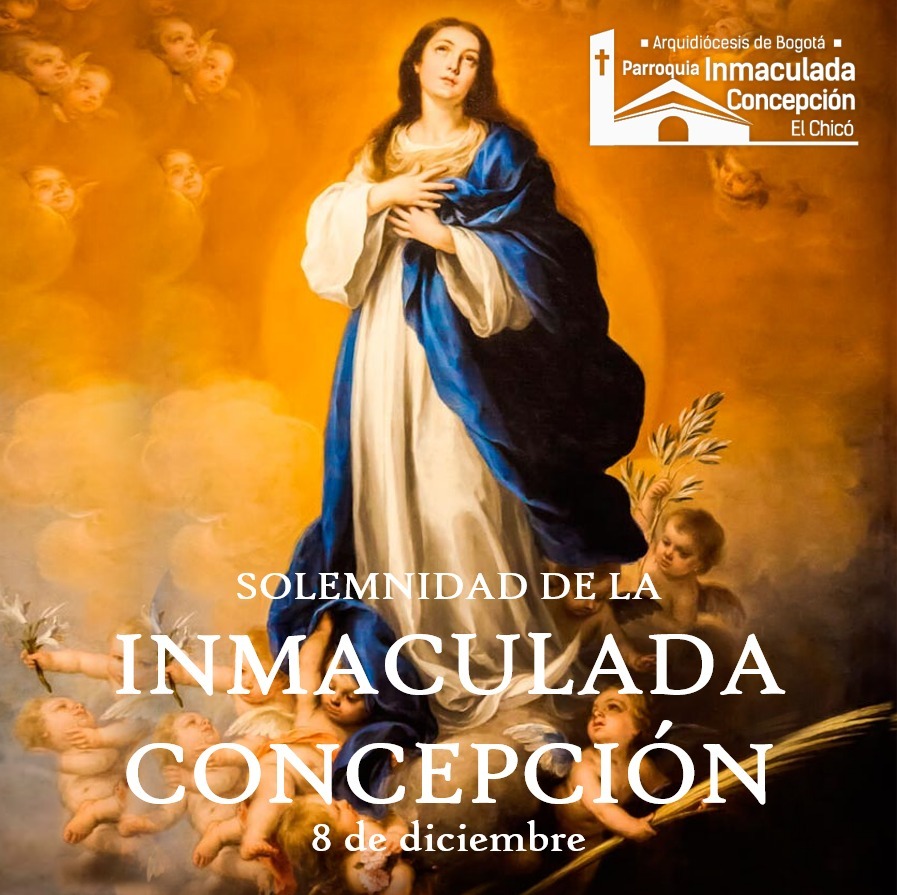 Solemnidad Dic 8 -1